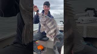 Sheepshead World Record Igfa 4Lb Test 10.1Lbs