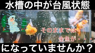 It is necessary to take measures against water currents in goldfish tanks! What harm does strong ...