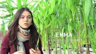 Sustainable Agriculture B.Sc.  - Video Made by Students