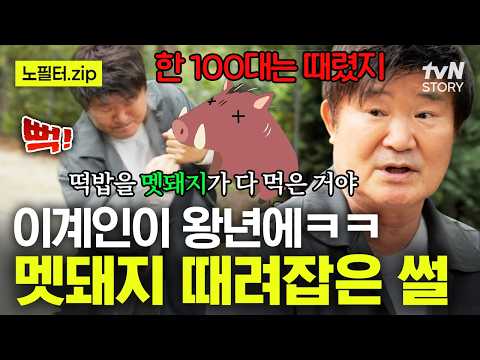 멧돼지와 맞짱도 불사한 왕년의 이계인🐗 떡밥 먹으러 왔다가 100대 맞고 간 멧돼지의 웃픈 최후🤣 #회장님네사람들