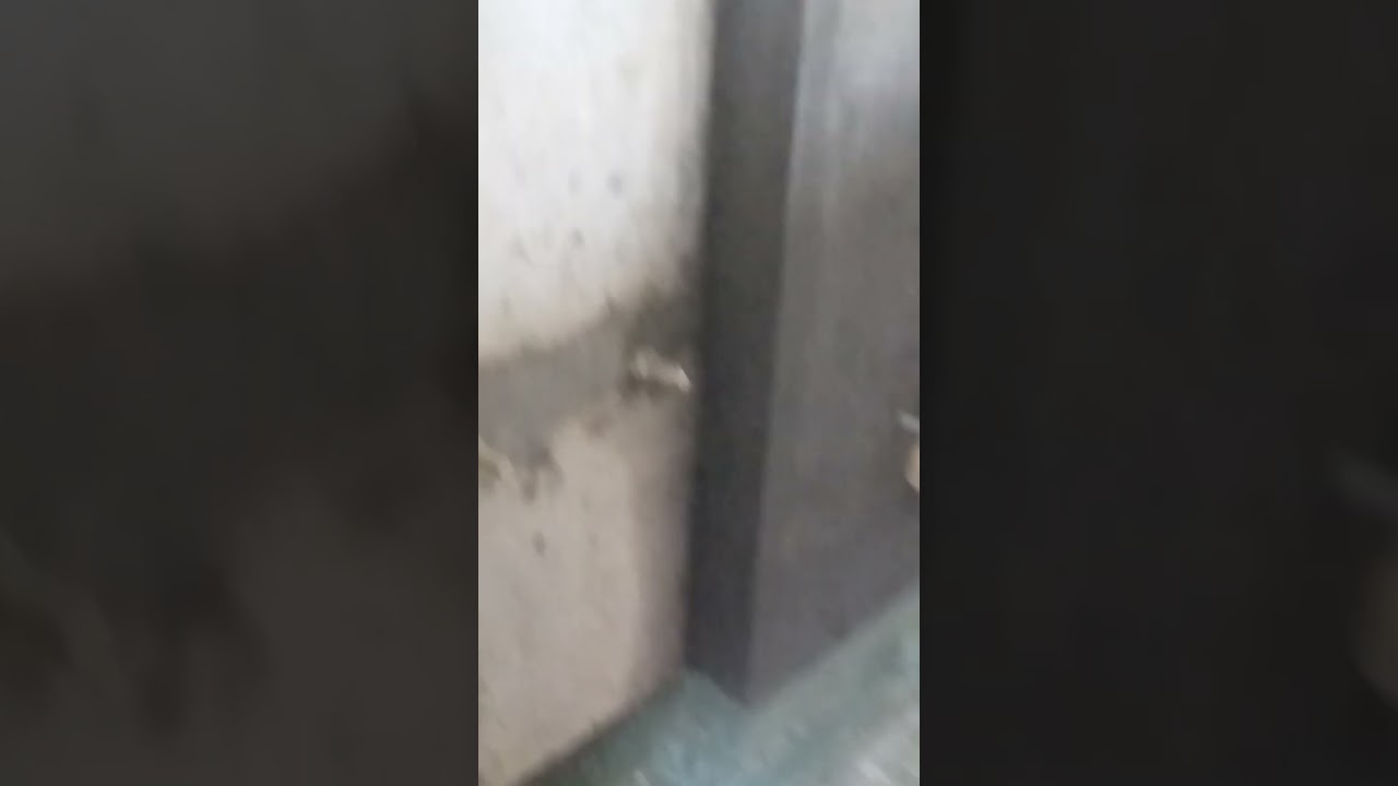 bathroom wp work primer coating