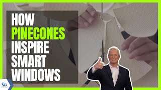 Smart windows take a page from nature's pinecone playbook | Kurt the CyberGuy