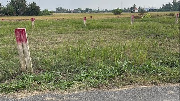 Tập 502🌿bán 5 lô đất thổ cư mặt tiền đường nhựa. Lh0984758832. Sang 