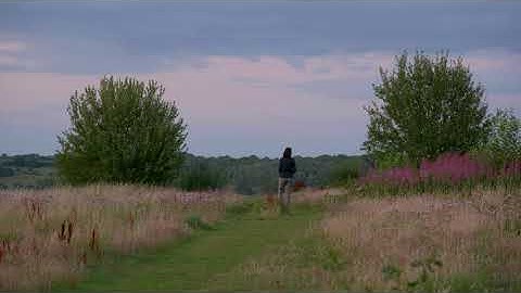 Testing the Panasonic S1 for video (handheld, low-light, vlog, 10bit 422)