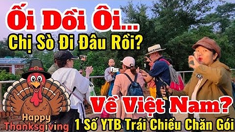 Chị Sò Đi Đâu Rồi Nhỷ? 1 Số YTB Trái Chiều Về Việt Nam? Trò Chuyện & Chia Sẻ #thayminhtue #moinhat