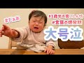 娘らしさ全開！ケーキの味が忘れられず大号泣！言葉の爆発期！絶対見て！1歳半