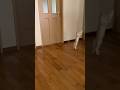 だれだ、おめぇ