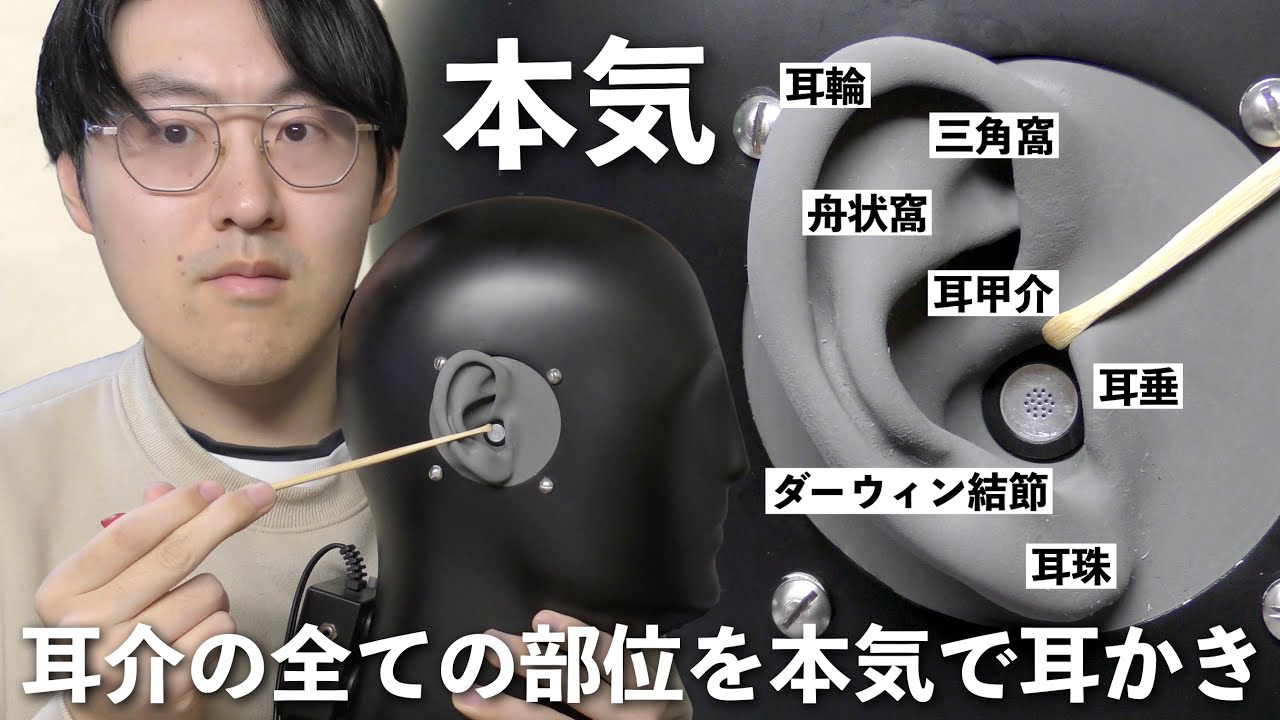 【ASMR】全20種類！黒ダミヘの耳介のあらゆる部位を本気で耳かき！これですぐに眠れます。