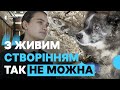 Який стан собаки Моді, врятованої в Краснопільській громаді