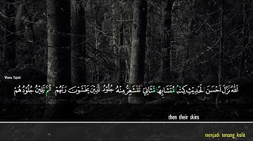 تلاوة نادرة سورة الزمر | هيثم الدخين - Haithm Aldokhin"