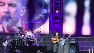 Big Eyed Fish/Bartender- Dave Matthews Band 7.8.23 Chicago, Il