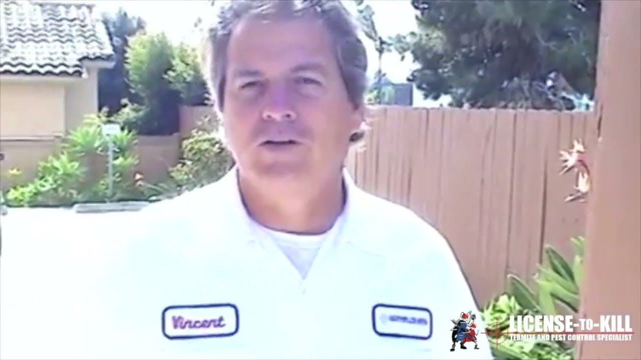 Termite Treatment San Diego