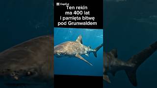 To zwierzę pamięta rok 1600! 🤯 #ciekawostki #zwierzaki #animals #wiedza #shorts #rekin