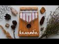 РАСПАКОВКА КАЛИМБЫ | Обзор и звучание калимбы | Kalimba