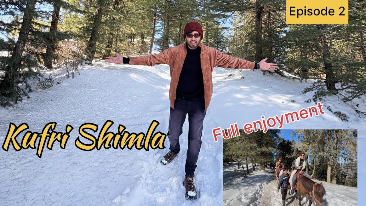 Shimla-Kufri Trip: Full Itinerary & Fun❄️#Shimla #Kufri #Travel #Shimla #KufriAdventure #Snowfall 