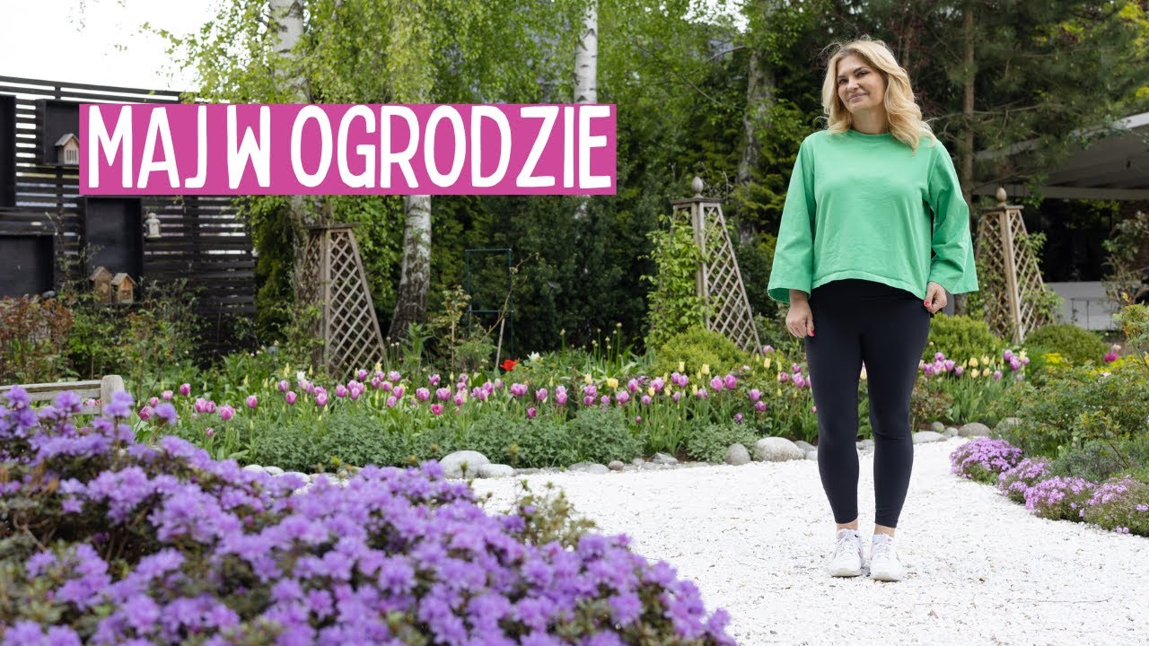 Ogród w maju. Prace ogrodowe - szkodniki, cięcie Chelsea chop, podpory