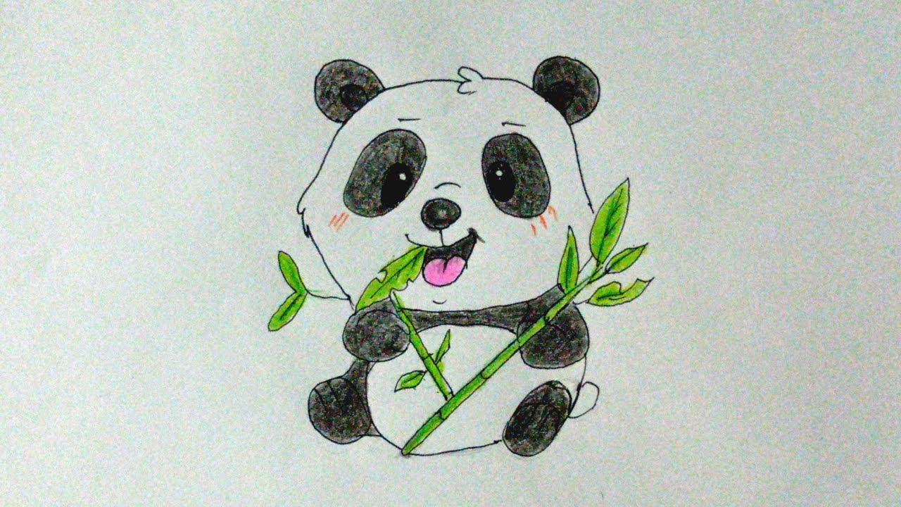 วาดตัวการ์ตูนหมีแพนด้า 
