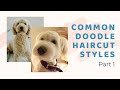 Common Doodle Haircuts Part 1 - Styles for Goldendoodles, Labradoodles, Aussiedoodles & Bernedoodles