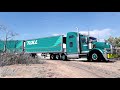 Toll Global Express T800 & Paint job Pack for ATS