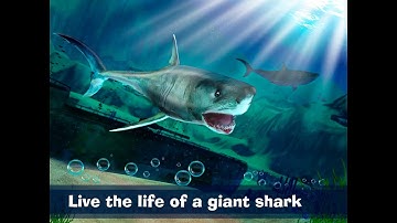 Great White Shark Simulator 3D Gameplay Video Android/iOS