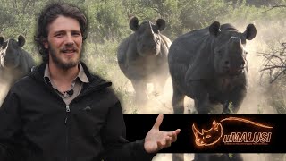 uMalusi Storybook - Saving The Last Rhinos of Africa
