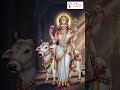 Navratri Day 8 | Maha Gauri & The Purest Joy of Motherhood | Navjeevan Hospital