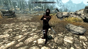 Skyrim Mods - UFO - Ultimate Follower Overhaul