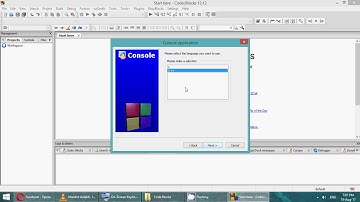 Sample Program using Code block