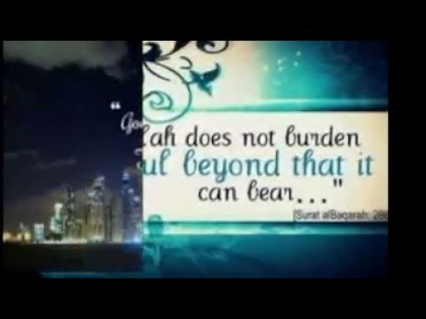Koran Quotes Quran Quotes About Islamquotes And Wise Sayings