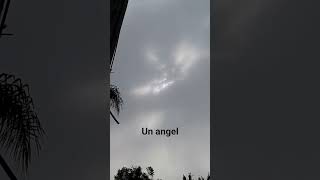 Un Angel #tarot #lecturacartas #horoscopo #taromancia #energia #energia #angeles #angel #astrologia