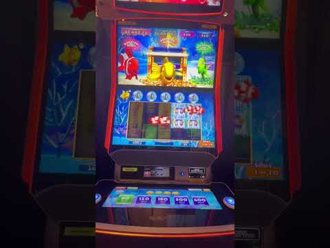 #BILLYEFFENSLOTS #Casino #slotmachines #kickapoo #money #live #cash #Billyver #TimotheeChalamet