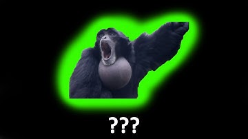 Yelling monkey meme Sound Variations in 45 seconds