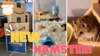 Getting a new hamster!!! | supply unboxing and cage setup 🐹✨