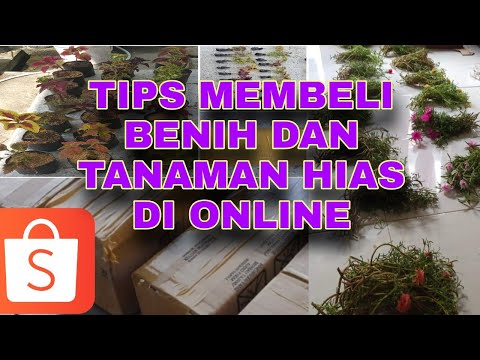 Video: Cara Memesan Biji Bunga