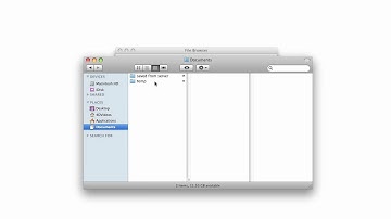 4D TN Spotlight: File Transfers using Execute on Server