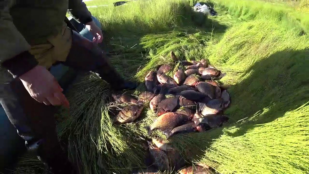 Ловим карася и охотимся на уток в Якутии! duck hunting Yakutia