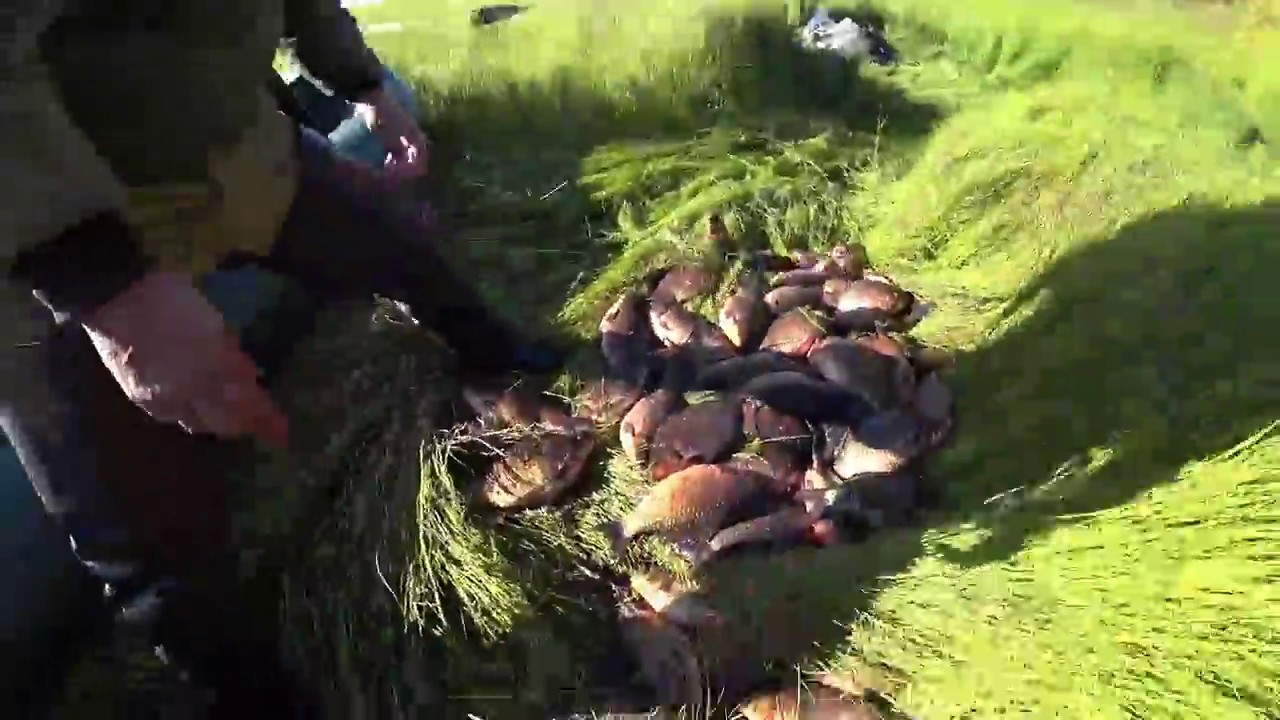 Ловим карася и охотимся на уток в Якутии! duck hunting Yakutia