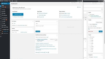 Setup ACF PRO with Choice Types and TwentySixteen with Elasticsearch (WPSOLR plugin)