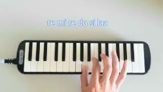 Hayat Bayram Olsa (Melodika Ile Müzik Dersi)