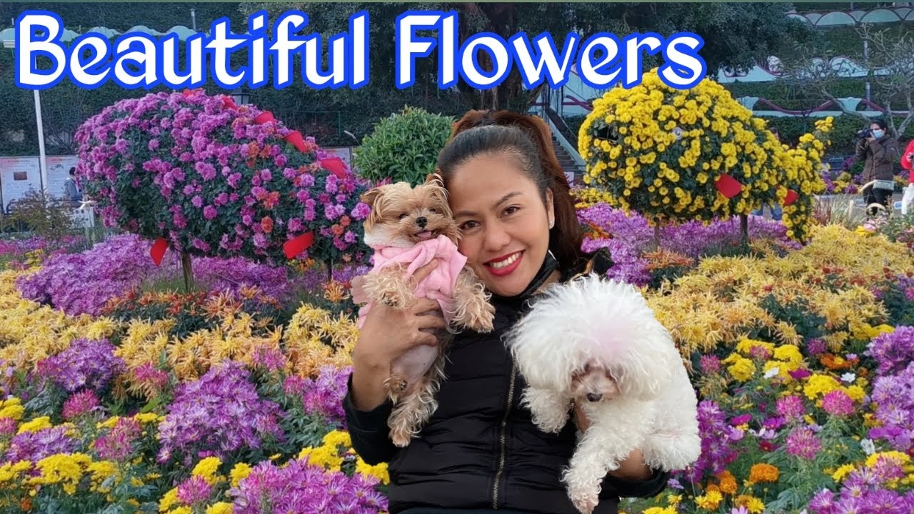 Beautiful Flower Garden YouTube