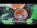 How to make diy ollas selfwatering systems for plants