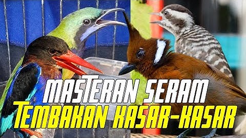 GURU MASTERAN HANDAL - ROLL TEMBAK MESIN JAHIT - JINGJING PETUAK Kombinasi CUNGKOK KUNTILANAK