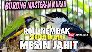 Guru Masteran Handal Roll Tembak Mesin Jahit Jingjing Petuak Kombinasi Cungkok Kuntilanak