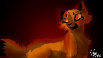 Miss Jackson | SoB M.A.P. | rehosted on Sprxngs channel