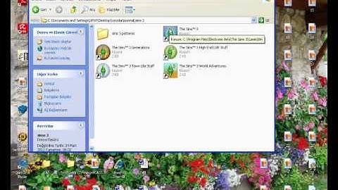 Sims 3 problem (solved)