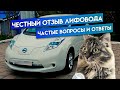 отзыв владельца Nissan Leaf в Сибири / затраты на электромобиль