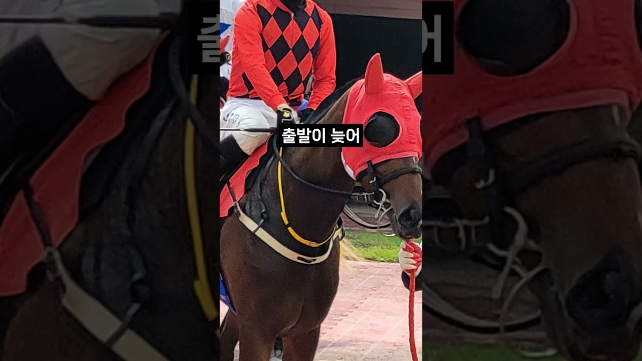26.01.24 서울경마 02경주