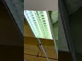 A lot of SJLite SAC440 T8 mirror light