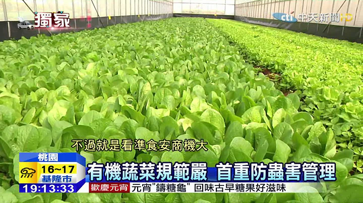 20150305中天新闻　企业抢投资有机蔬菜　开农场卡位 - 天天要闻
