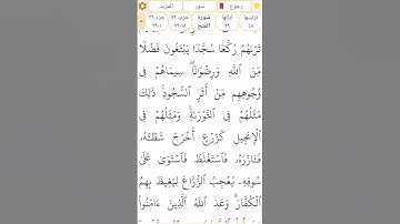 #سورة_الفتح #رقم_48 القسم 12